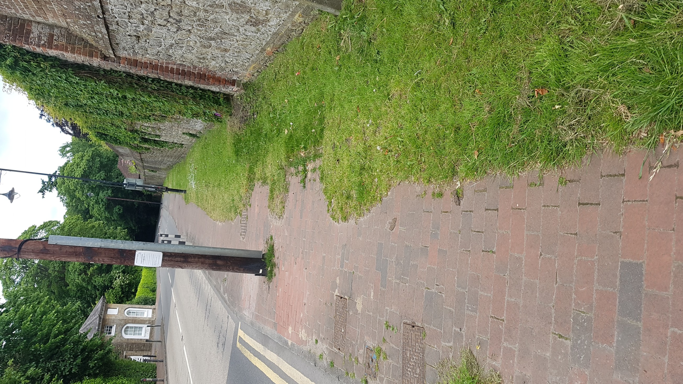 grass-strip-opp-combe-bank-loidge
